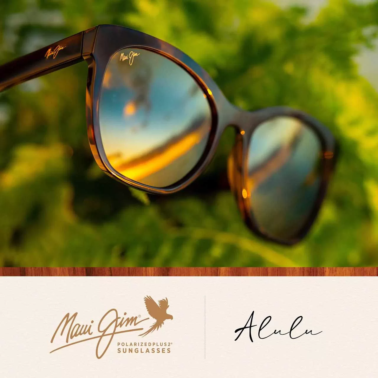 maui jim sunglasses brown media kit